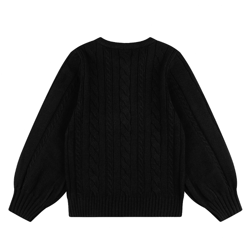 LFC30  New Women's Autumn/Winter Sweater Top Woolen Sweater Clothing