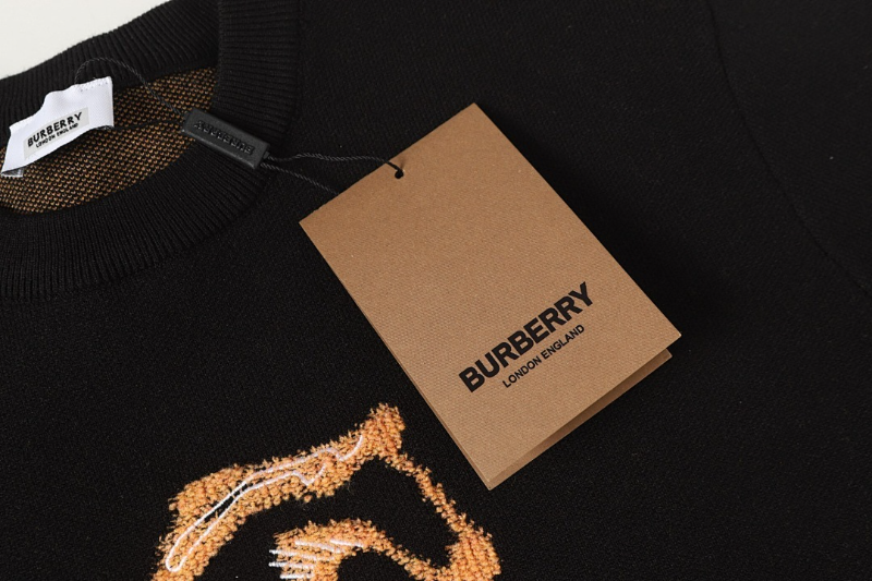 BUC033  Autumn and winter new high-quality men's and women's fashion brand new sweater jacquard letter clothing