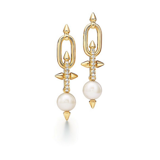 A1239 Women's new fashionable earrings and jewelry