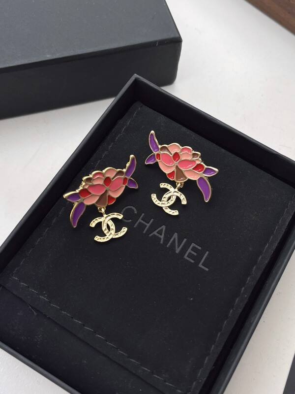 A1172   Women's titanium steel earrings and jewelry