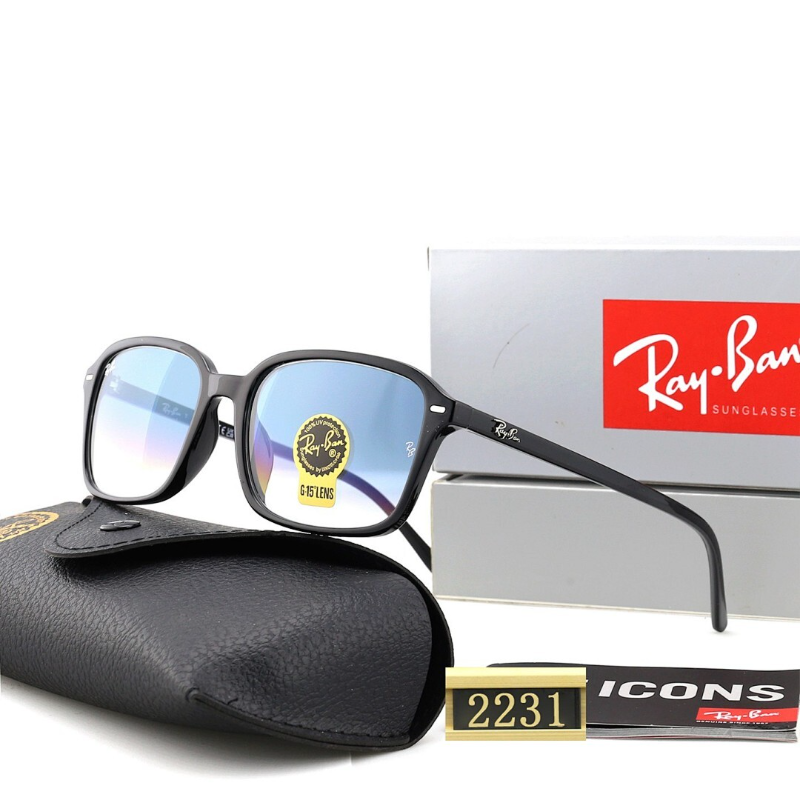 2231  Sunglasses with box