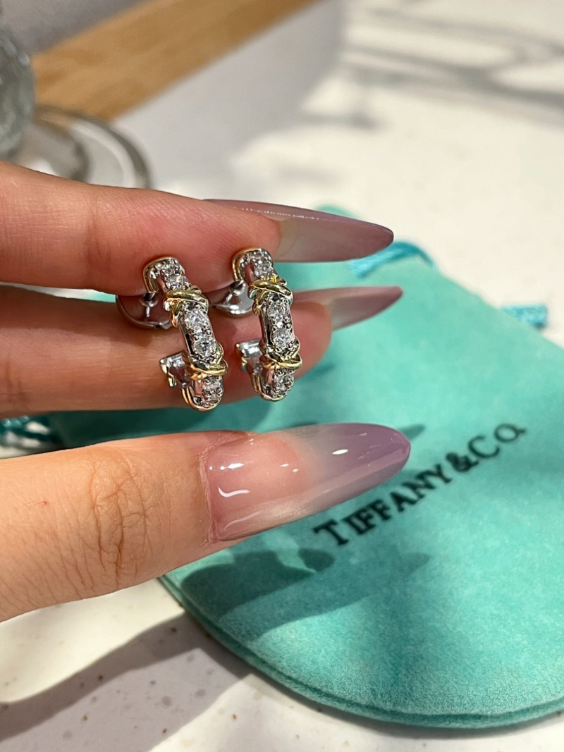 A1241  Women's new earring jewelry